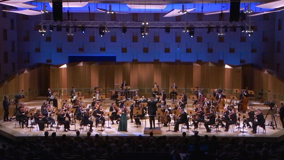 Ein Orchester steht auf einer Bühne. © Screenshot 