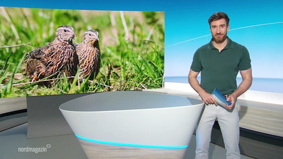 Stefan Leyh  moderiert Nordmagazin - Land und Leute. © Screenshot 