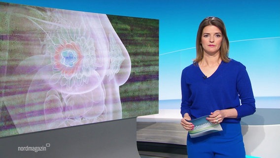 Frauke Rauner moderiert das Nordmagazin. © Screenshot 