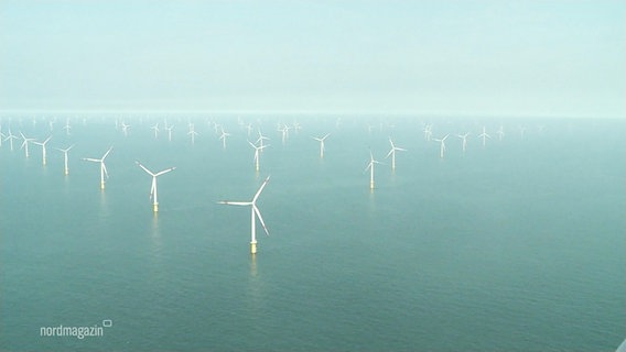 Ein Offshore-Windpark in der Ostsee. © Screenshot 