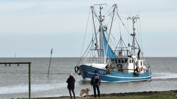 Ein Kutter fährt in den Hafen. Im Vordergrund stehen Spaziergänger mit Hund. © NDR Screenshot 