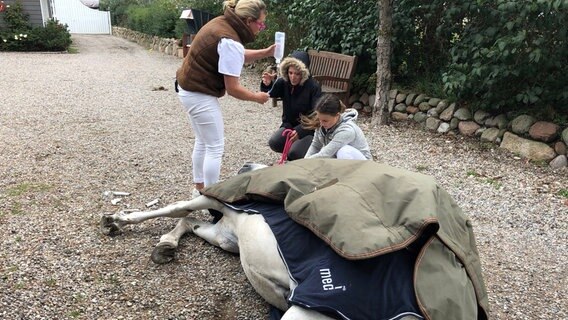 Ein Kreislaufkollaps zwingt Airoso zu Boden. Stephanie Petersen lässt in der Praxis alles stehen und liegen und eilt zur Hilfe. © NDR/Doclights GmbH 2020 