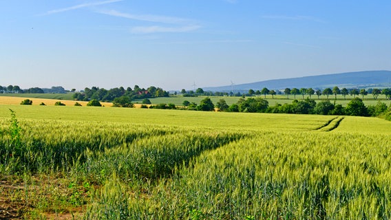 Blick über Felder und Höhenzüge des Calenberger Landes bei Lauenau. © Picture-Alliance / Michael Narten 