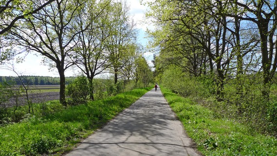 Ein Radfahrer auf dem Butterbargsmoorweg im Regionalpark Wedeler Au. © Regionalpark Wedeler Au. 